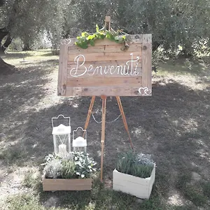 Apartment Fonteregia