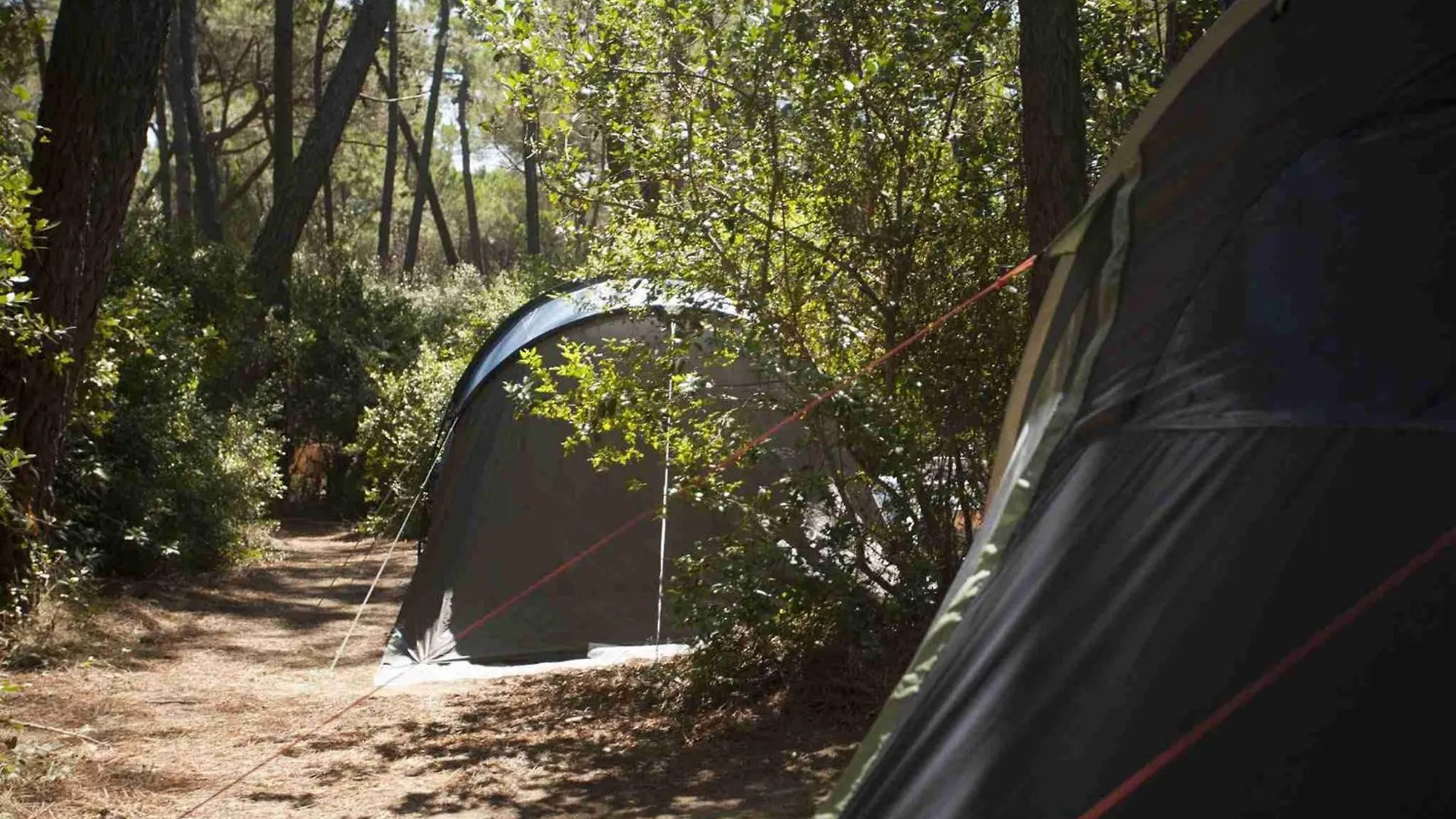 Campsite Puntala Camp & Resort Punta Ala
